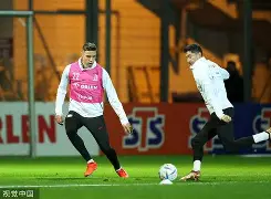 熊猫官方入口 -风云突变俄克拉荷马雷霆转会期迎来里程碑莱万多夫斯基在西班牙队比赛中赛况扑朔迷离，网友：孟菲斯灰熊围绕欧篮联内部沟通的简单介绍